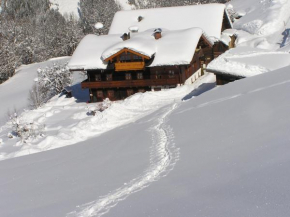 Bio-Bauernhof Nichlgut, Eben Im Pongau, Österreich